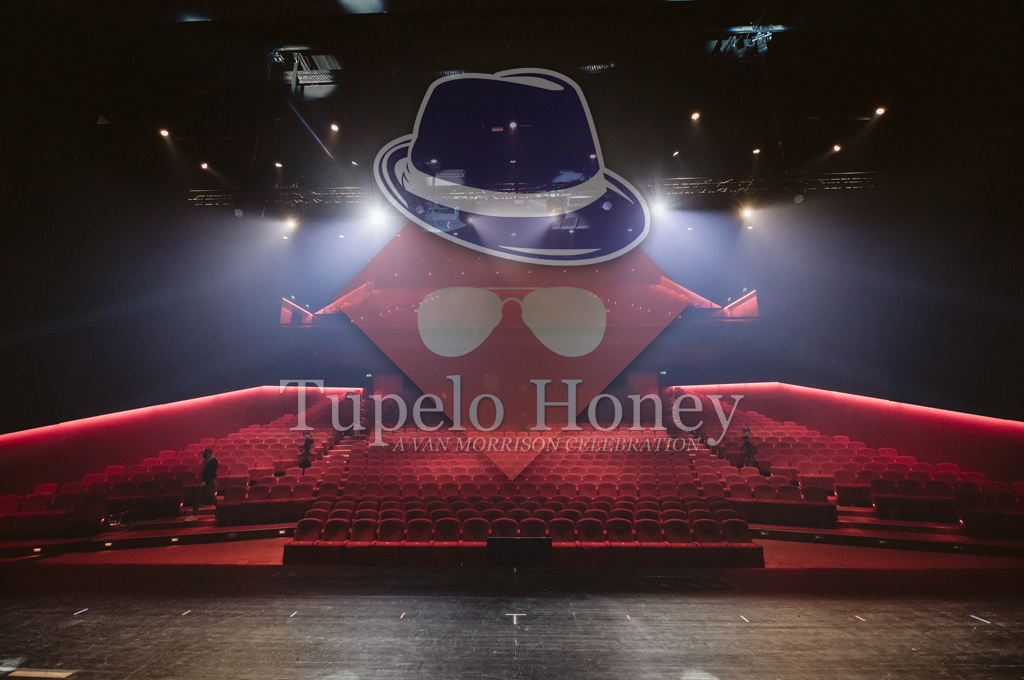 Book Tupelo Honey Band